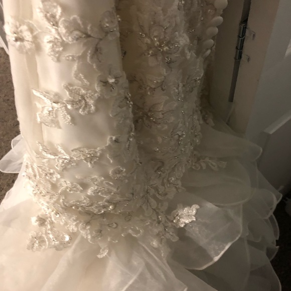 Michelle Roth Wedding Dress from Kleinfeld - Picture 7 of 8